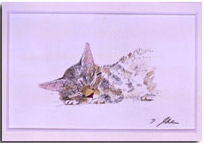 ���F�A���ʉ�V