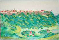 ���F�A���ʉ�R